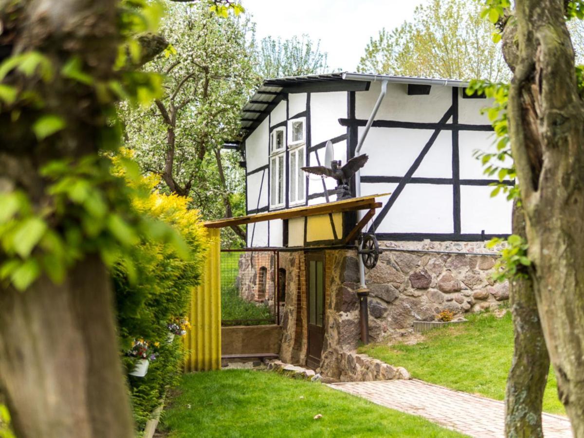 Gartenbungalow 2 Rechte Seite Klein Pravtshagen エクステリア 写真